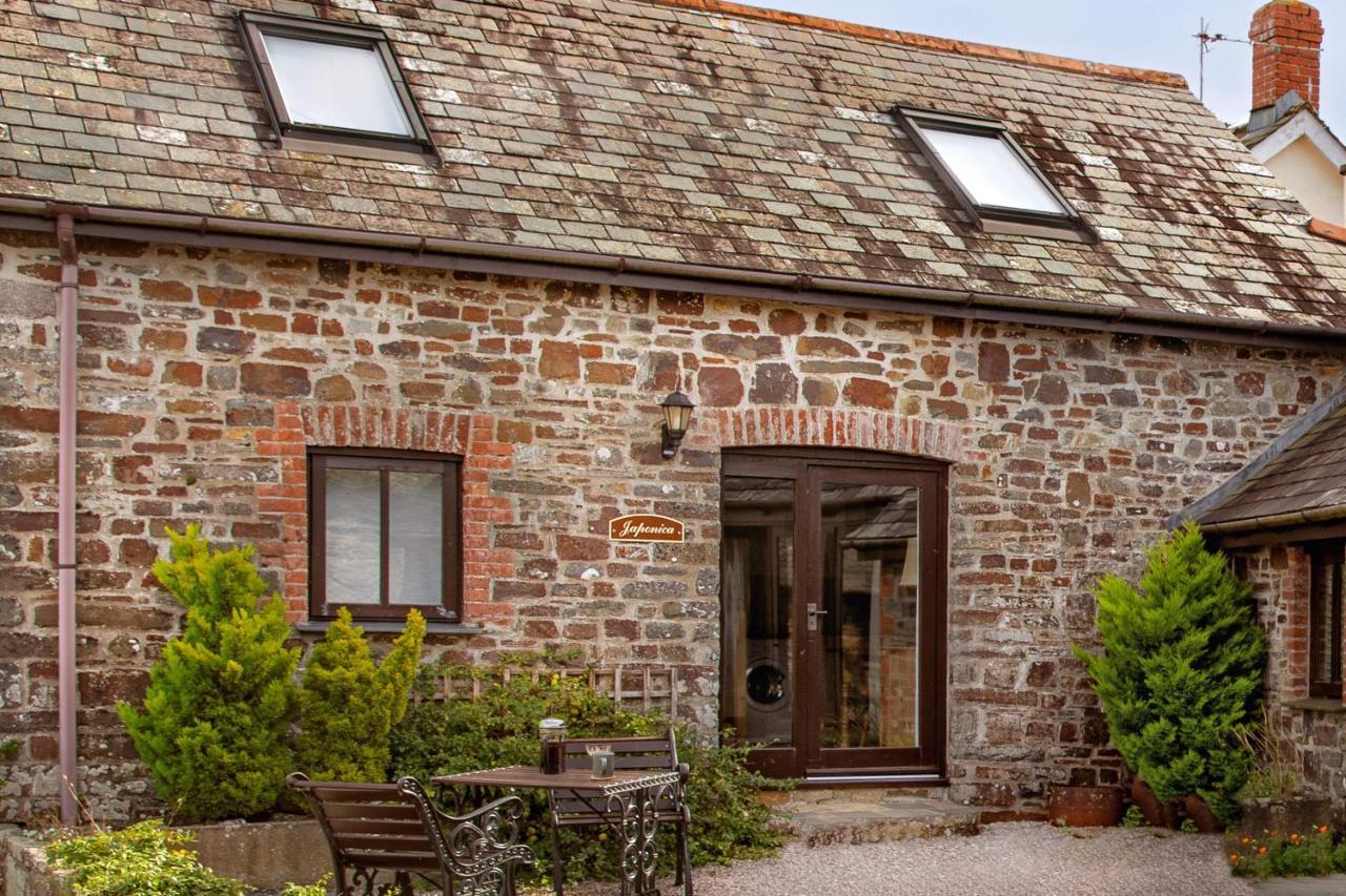 Downe Cottages Hartland Exterior photo
